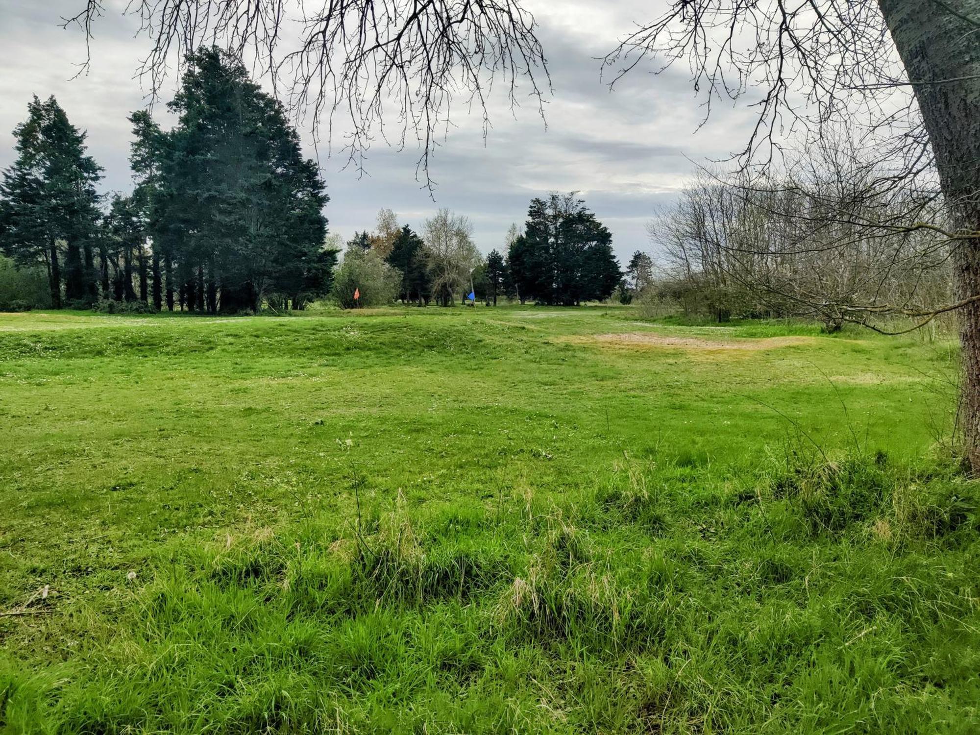 Ravissant Cottage Avec Jardin, Refait A Neuf, 2 A 5 Pers Cabourg Exteriér fotografie
